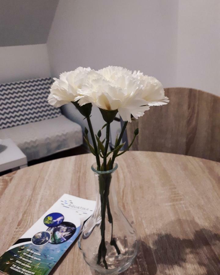 Apartman Lena Tusilovic エクステリア 写真