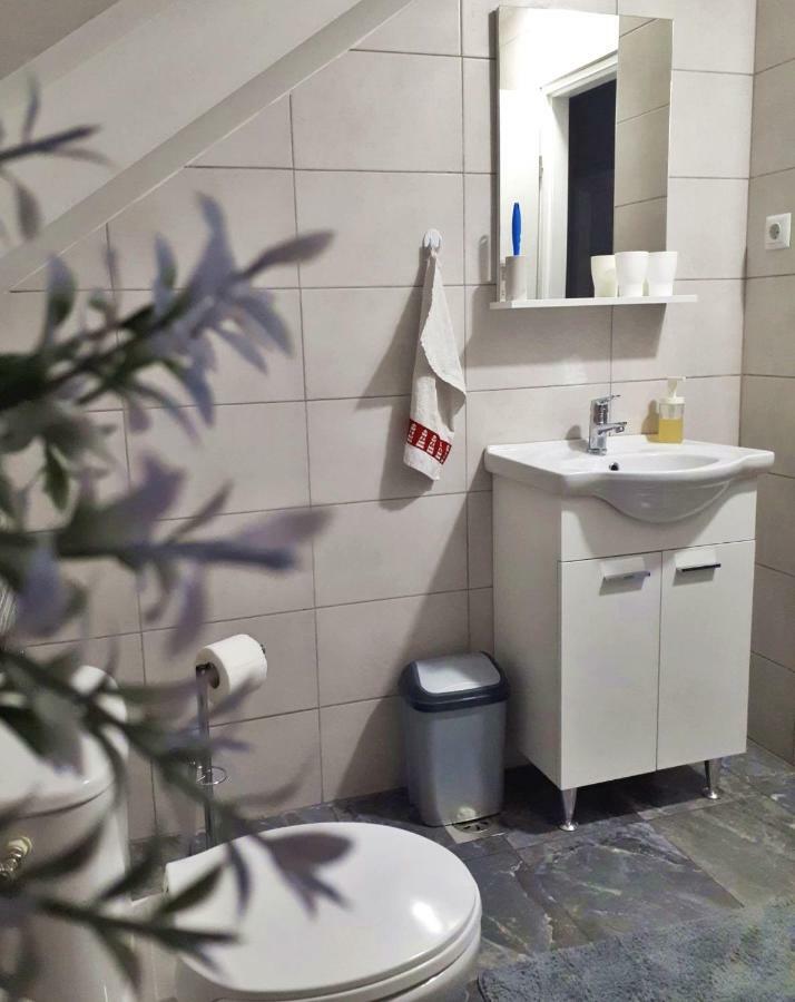 Apartman Lena Tusilovic エクステリア 写真