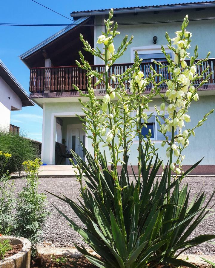 Apartman Lena Tusilovic エクステリア 写真